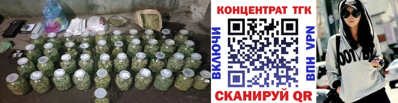 Купить закладки  Кириши  ТГК THC oil 