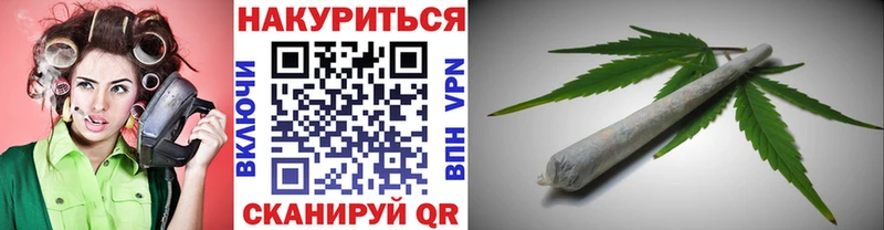 Каннабис сатива Кириши